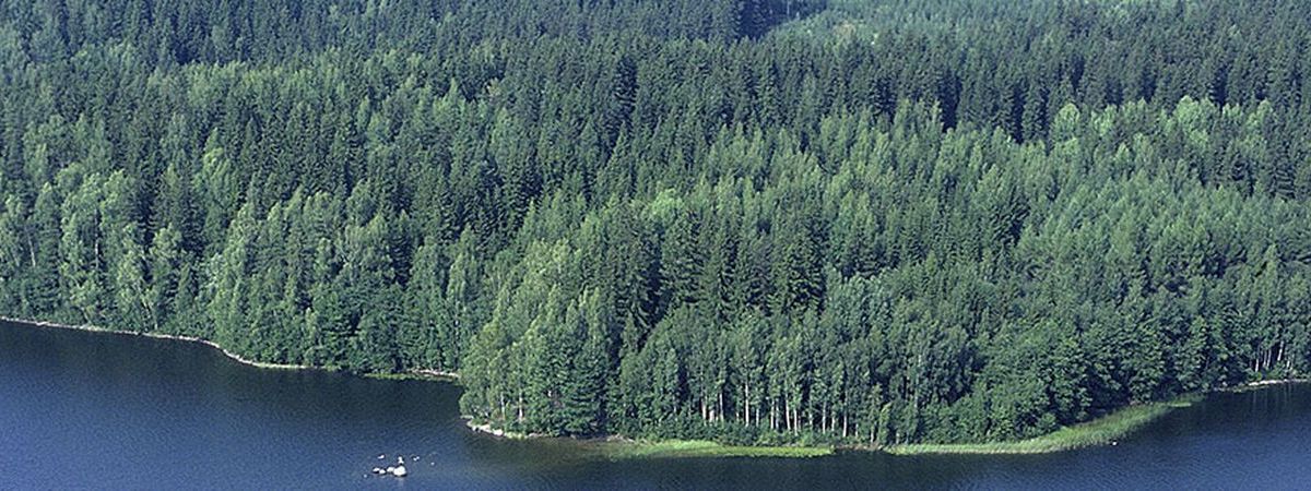lapeyre eco responsable